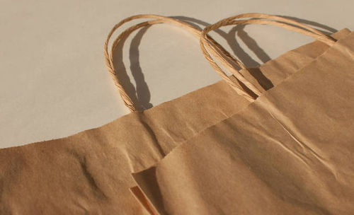Latest company news about Application of Kraft Paper Bags